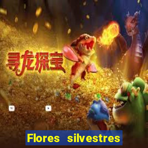 Flores silvestres brasileiras brasileiras flores silvestres nomes e imagens